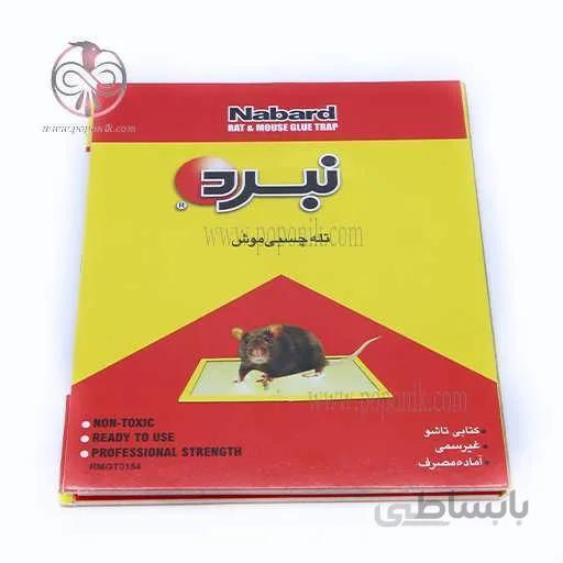 چسب موش
