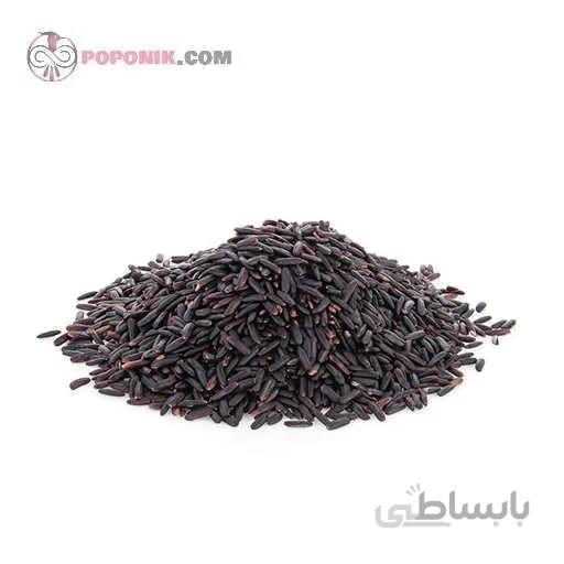 بذر برنج سیاه