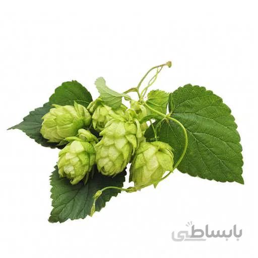 بذر رازک