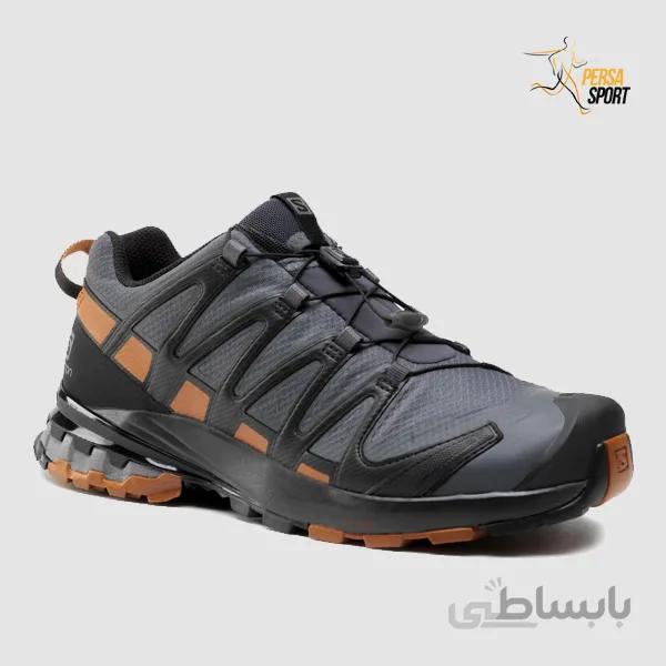 کفش مردانه سالامون Xa Pro 3D V8 Gtx GORE-TEX Ebony