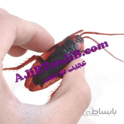 مجموعه حیوانات ژله ای چندش آور