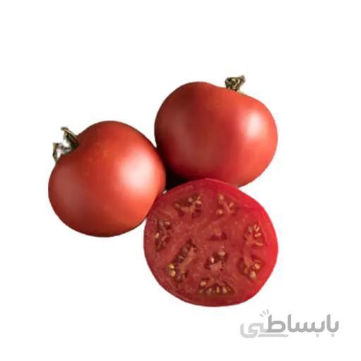 بذر گوجه فرنگی موسکوویچ