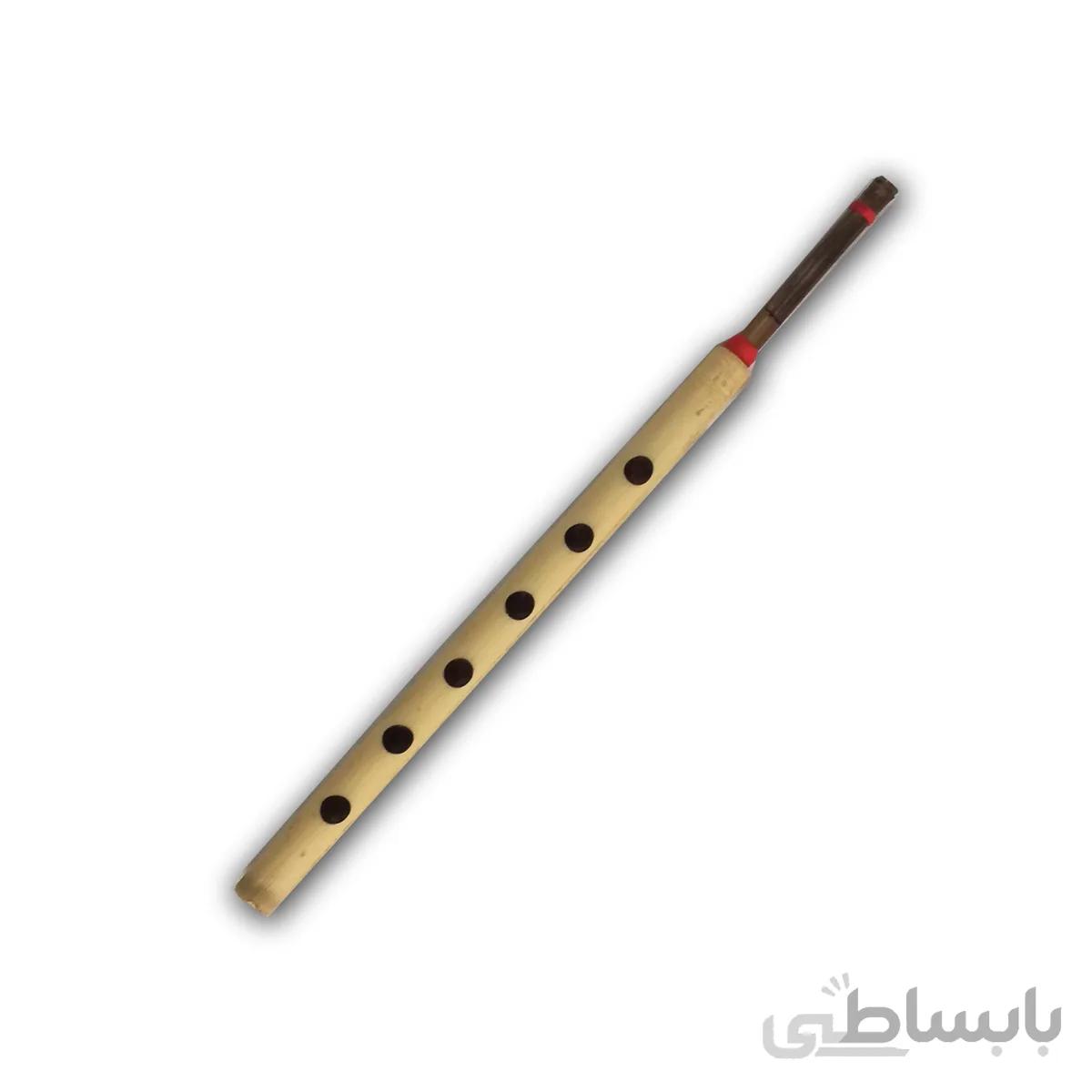 نی تكی