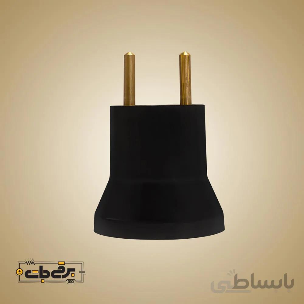 سرپیچ  دوشاخه دار