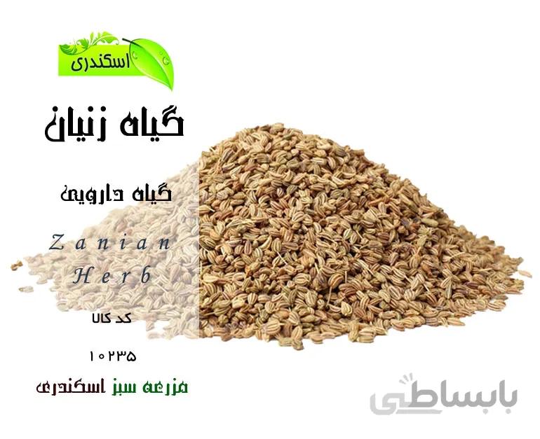 گیاه زنیان