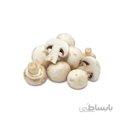 بذر قارچ دکمه ای (۱ کیلوگرم)