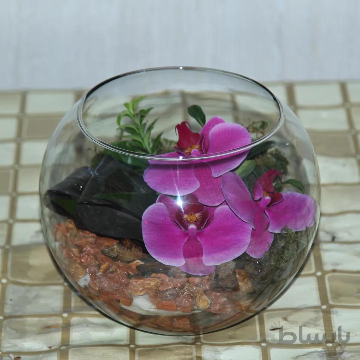 گلدان شیشه ای با ارکیده