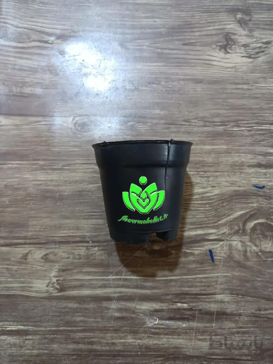 گلدان سایز8