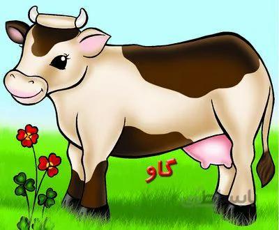 گاو(حیوانات مزرعه)