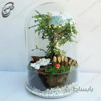 خرید گل آنلاین – تراریوم شمشاد طرح T-062