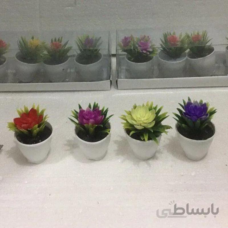 گل 4 عددی طلقی مینیاتوری