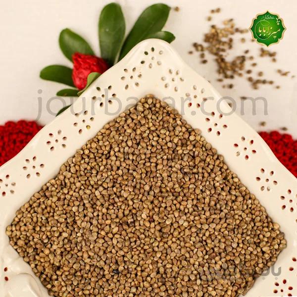 شاهدانه