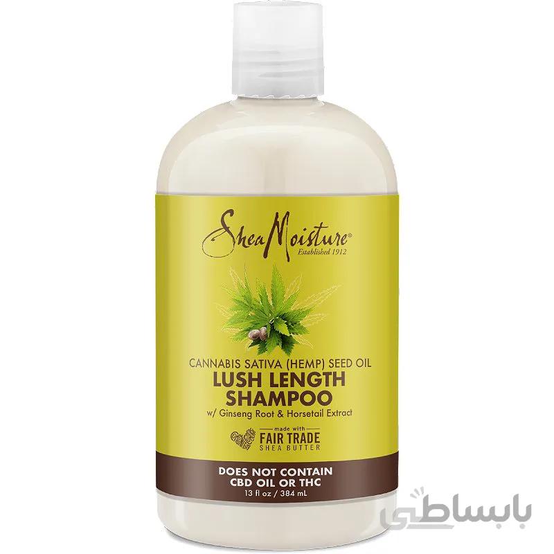 شامپو روغن شاهدانه شیمویسچرز ا Shea moisture cannabis sativa (Hemp) seed shampoo