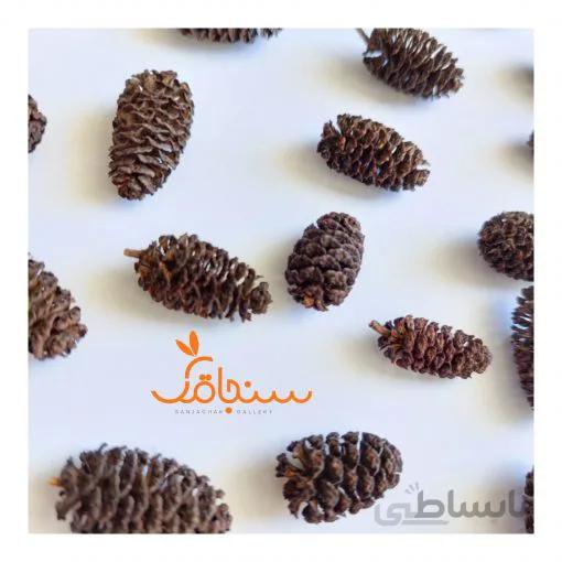 میوه توسکا(بسته های ۵ عددی)