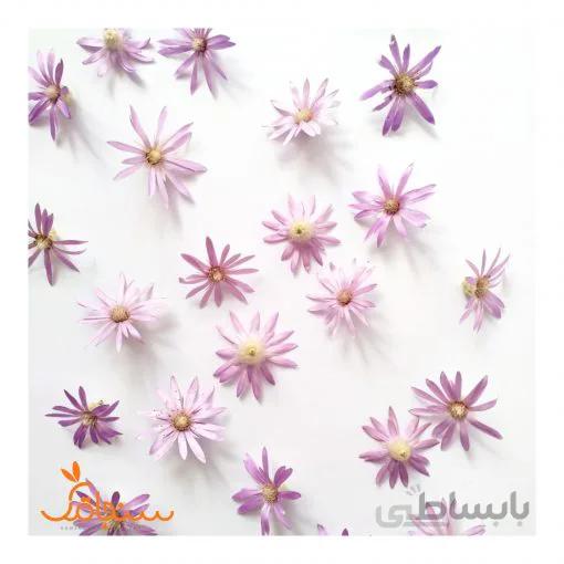 بسته ۵ عددی گل مرواریدی شکفته