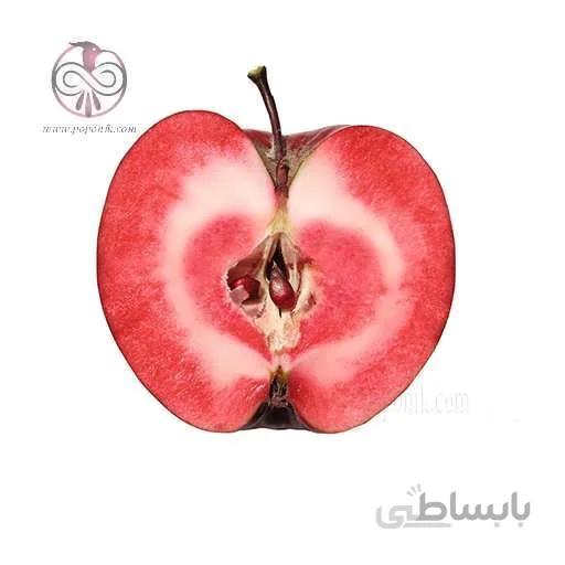 نهال سیب تو سرخ
