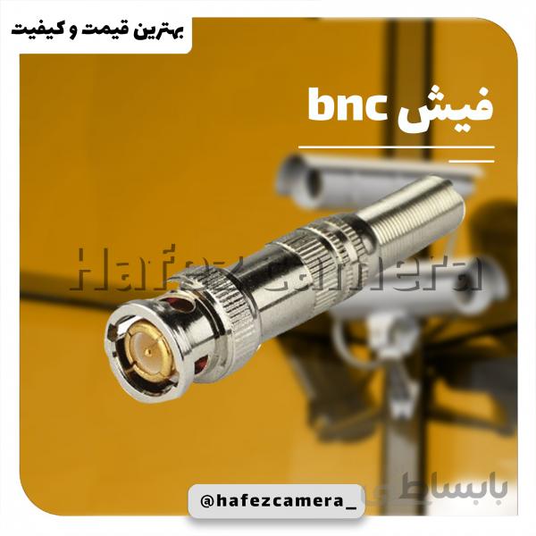 فیش BNC