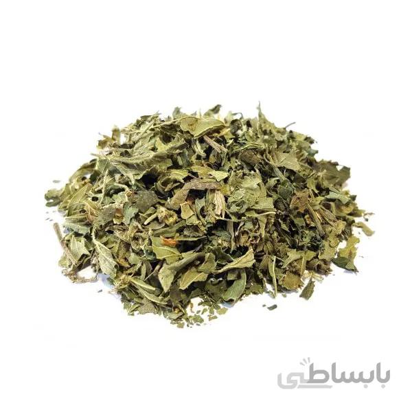 گزنه