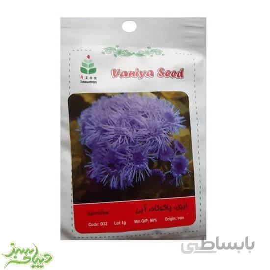 بذر ابری ، پاکوتاه ، آبی