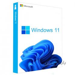 Windows 11 Pro MSDN