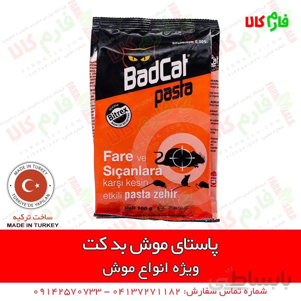 پاستای موش بد کت - نوع جدید مرگ موش