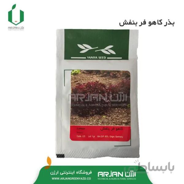 بذر کاهو فر بنفش 1 گرمی