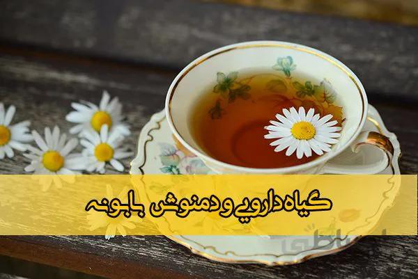گیاه دارویی و دمنوش بابونه