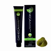 رنگ مو گانسا شماره As3 حجم 100 میلی لیتر رنگ سبز گانسا ا GANECA Hair Color Cream Ganecas Green 100ml No: As3