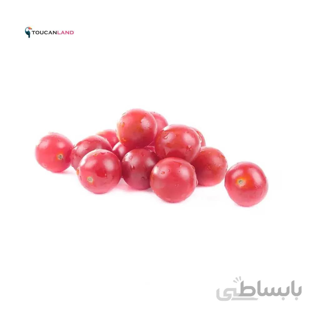 بذر گوجه چری صورتی