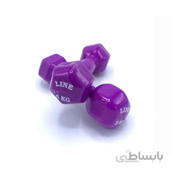 دمبل لاین 5 کیلوگرم 2 عددی