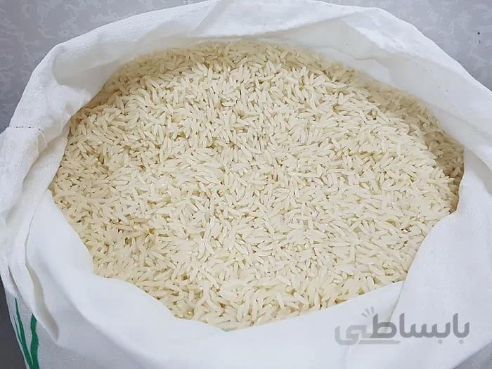 برنج کشت دوم فریدونکنار