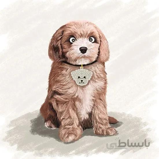 اویز قلاده استیل طرح سگ نژاد 17 CD 17 ا Steel Tag Dog Breed 17 Model CD-17