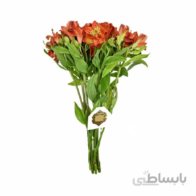 آلسترومریا شاخه ای