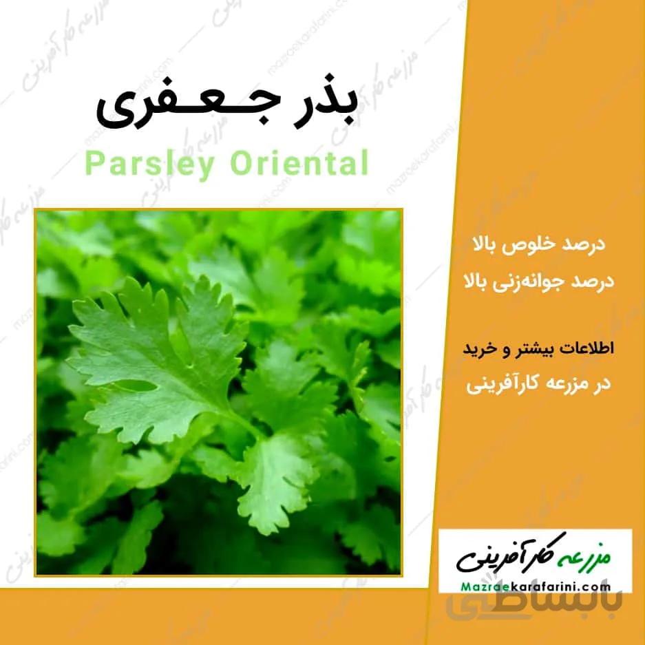 بذر جعفری کد 790834
