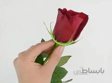 سفارش آنلاین گل رز شاخه ای