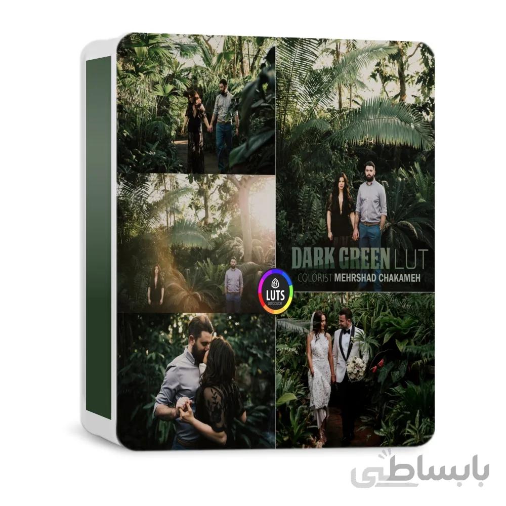 رنگ سینمایی Dark Green LUT