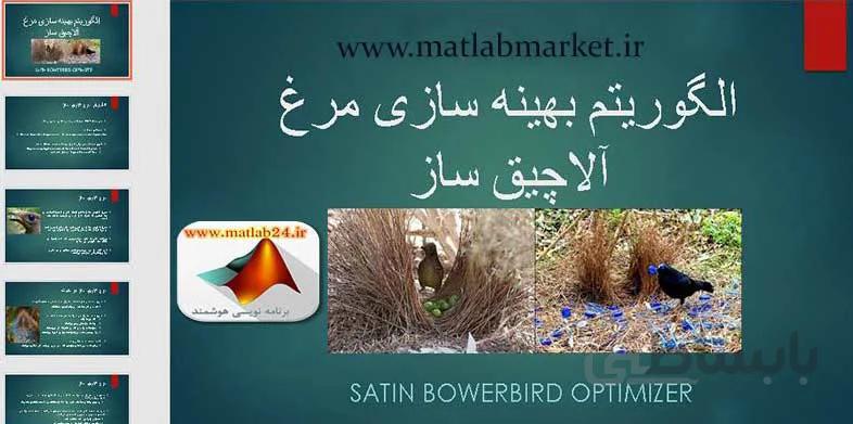 اسلاید الگوریتم مرغ آلاچیق ساز SBO | اسلاید آماده الگوریتم SBO