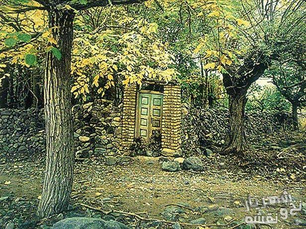 نخ و نقشه تابلو فرش باغ گردو - 1294