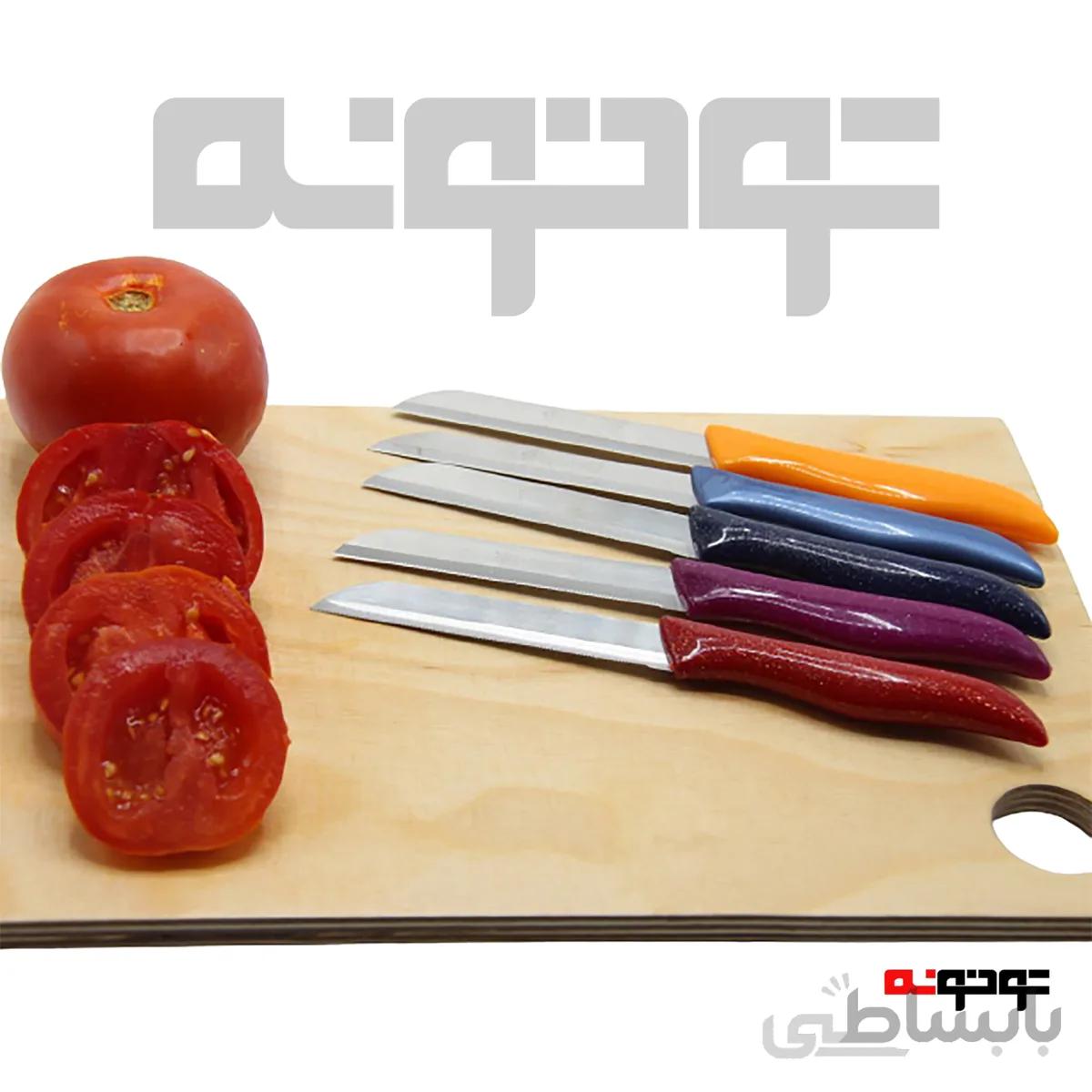 چاقوی همه کاره زولینگن المان solingen مخصوص میوه خوری/ خورد کردن سبزی گوشت مرغ 6 رنگ
