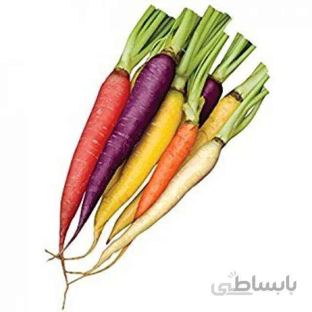 بذر هویج رنگی بسته ۳ گرمی