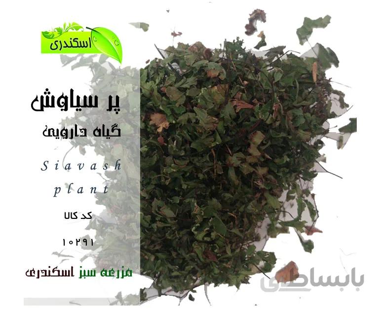 پر سیاوش