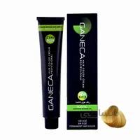 رنگ مو گانسا شماره 9.5 حجم 100 میلی لیتر رنگ بلوند طلایی خیلی روشن ا GANECA Hair Color Cream Lightest Golden Blonde 100ml No:G9_9.5