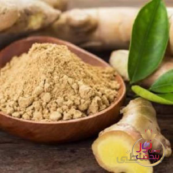 ادویه زنجبیل رضوان بیدخت 80 گرمی