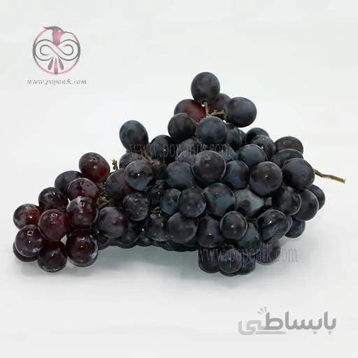 بذر انگور شاهانی کوهستان