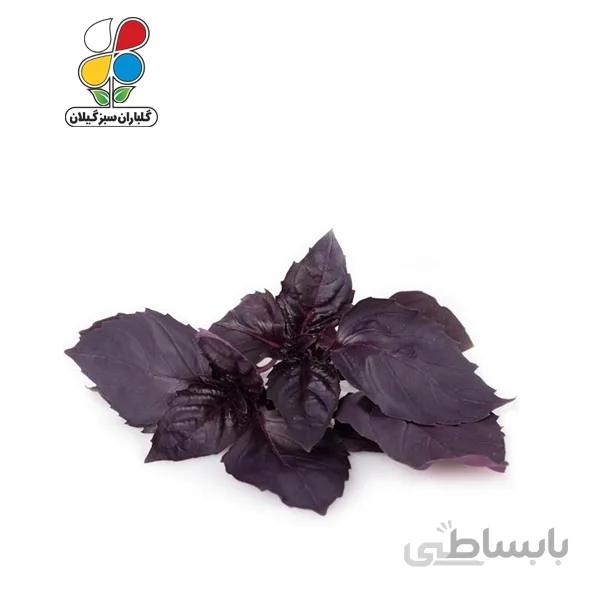 بذر ریحان بنفش بسته 3 عددی مدل GPSV7L