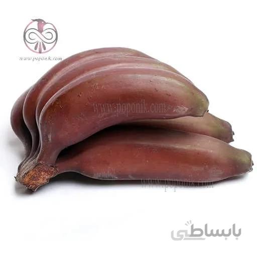 نهال موز قرمز