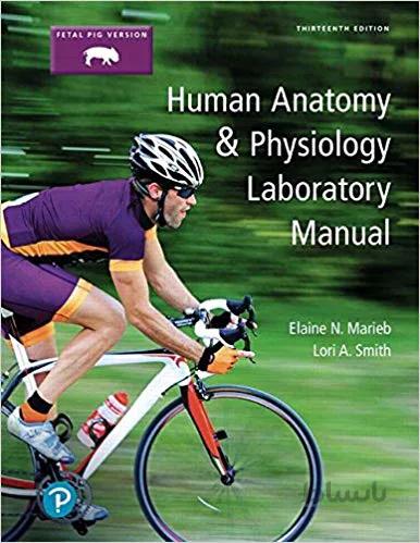 دانلود کتاب Human Anatomy & Physiology Laboratory Manual, Fetal Pig Version 13th Edition