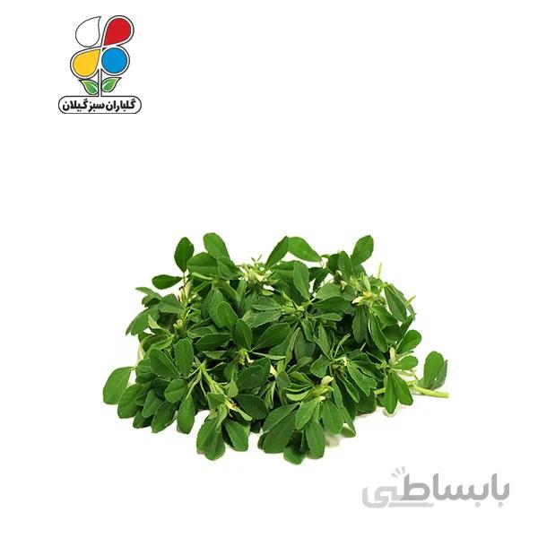بذر شنبلیله بسته 3 عددی مدل GPSV7L
