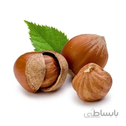 بذر فندق