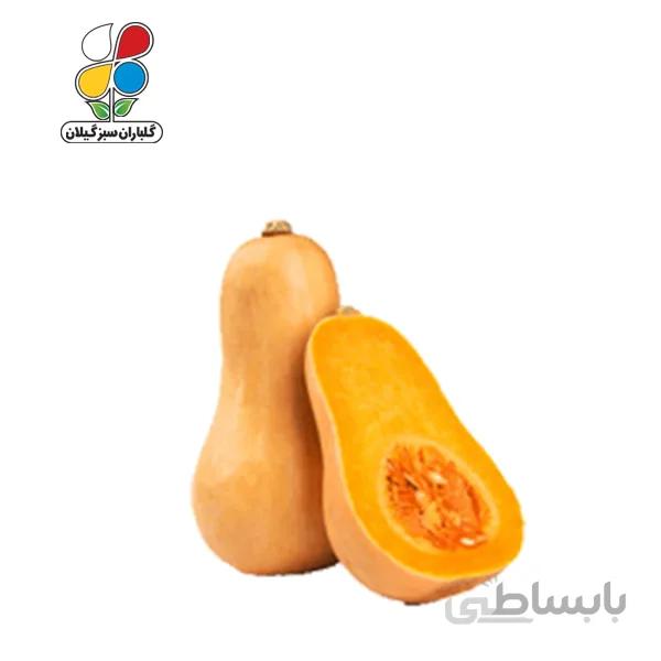 بذر کدو حلوایی بسته بندی بزرگ مجموعه 3 عددی